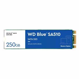 Disco Duro Western Digital SA510 250 GB SSD 1 TB SSD