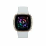 Smartwatch Fitbit Sense 2 Azul Blanco Dorado