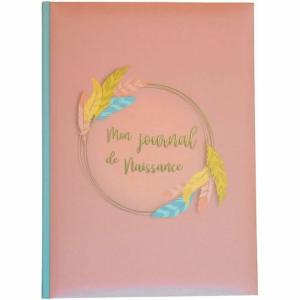 Álbum Domiva Mon Journal de Naissance