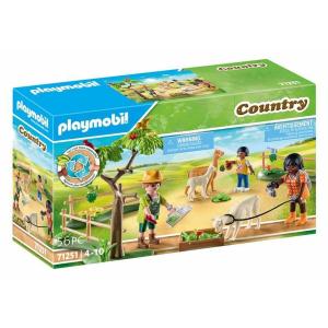 Figura de Acción Playmobil 71251