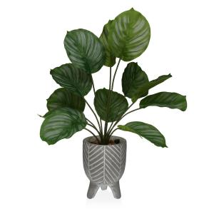 Planta Decorativa Versa Cemento Plástico 15 x 47 x 15 cm