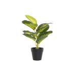 Planta Decorativa DKD Home Decor PVC Polipropileno 25 x 25 x 30 cm