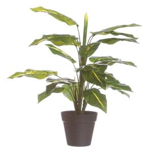 Planta Decorativa PVC Hierro 45 cm