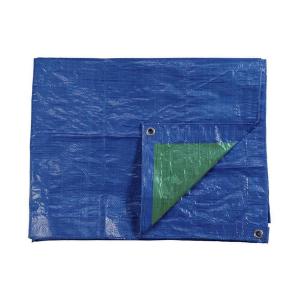 Lona de Protección EDM Azul (6 x 10 m)