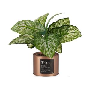 Planta Decorativa Home Cobre Lata 26 x 26 x 26 cm Metal Verde Plástico