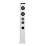 Torre de Sonido Bluetooth Avenzo AV-ST4001W