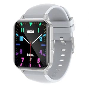 Smartwatch LEOTEC LESW41G Gris