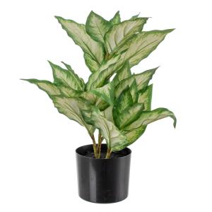 Planta Decorativa Polietileno PEVA Dieffenbachia 42 x 42 x 52 cm