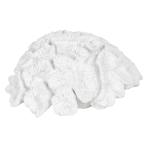 Figura Decorativa Blanco Coral 23 x 22 x 11 cm