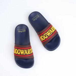 Chanclas para Niños Harry Potter Azul marino Rojo