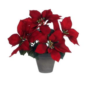 Planta Decorativa Mica Decorations Rojo PVC