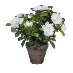 Planta Decorativa Mica Decorations 11,5 x 27 x 20 cm