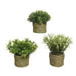 Planta Decorativa Basic Home Artificial Cuerda Verde 16 x 3 cm