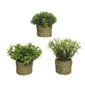 Planta Decorativa Basic Home Artificial Cuerda Verde 16 x 3 cm