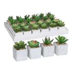 Planta Decorativa Mica Decorations 8 x 5 cm Verde PVC Suculenta