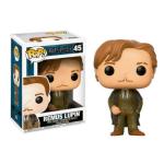 FUNKO POP Remus Lupin 45 - Harry Potter - 889698149396