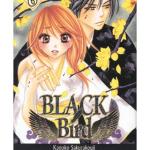 BLACK BIRD 06 (COMIC)