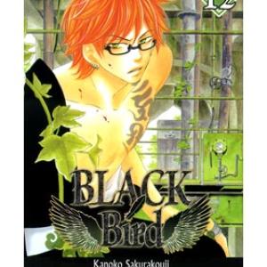 BLACK BIRD 12 (COMIC)