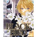 BLACK BIRD 13 (COMIC)