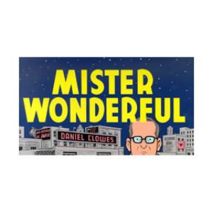 MISTER WONDERFUL