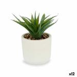 Planta Decorativa Suculenta Plástico 14 x 18 x 14 cm (12 Unidades)