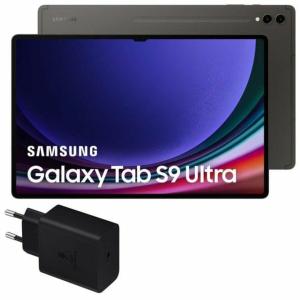 Tablet Samsung Galaxy Tab S9 Ultra 14,6" 256 GB Gris