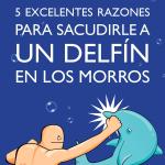 5 EXCELENTES RAZONES PARA SACUDIRLE A UN DELFIN EN LOS MORROS