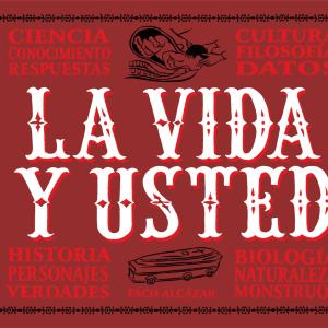 LA VIDA Y USTED 01