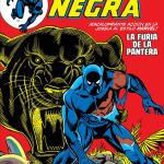 PANTERA NEGRA 01. LA FURIA DE LA PANTERA (MARVEL GOLD)