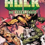 CMH 108: EL INCREIBLE HULK DE PETER DAVID 02. PERDIDO EN LAS VEGAS