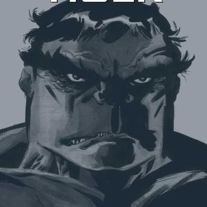 MARVEL MUST HAVE HULK GRIS