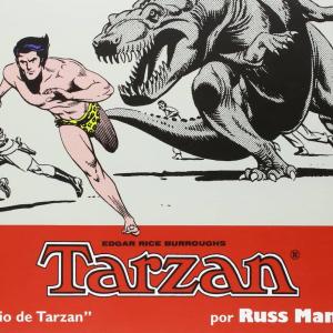 TARZAN - TIRAS DIARIAS 2