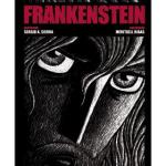 FRANKENSTEIN O EL MODERNO PROMETEO (NOVELA GRAFICA) 