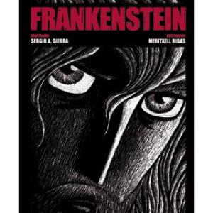 FRANKENSTEIN O EL MODERNO PROMETEO (NOVELA GRAFICA) 