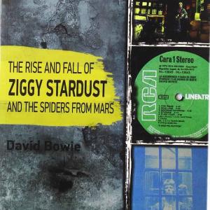 THE RISE AND FALL OF ZIGGY STARDUST AND THE SPIDERS FROM MARS.