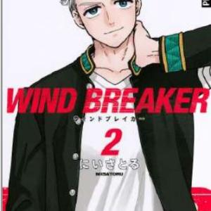 WIND BREAKER 02 